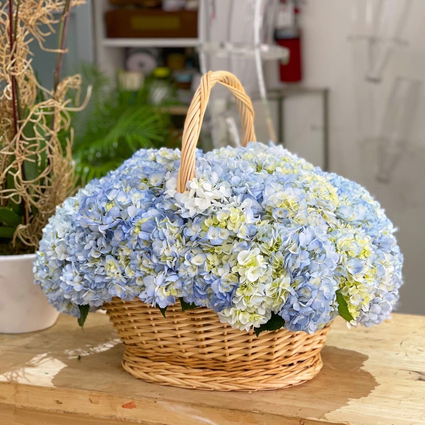 Blue hydrangea basket London