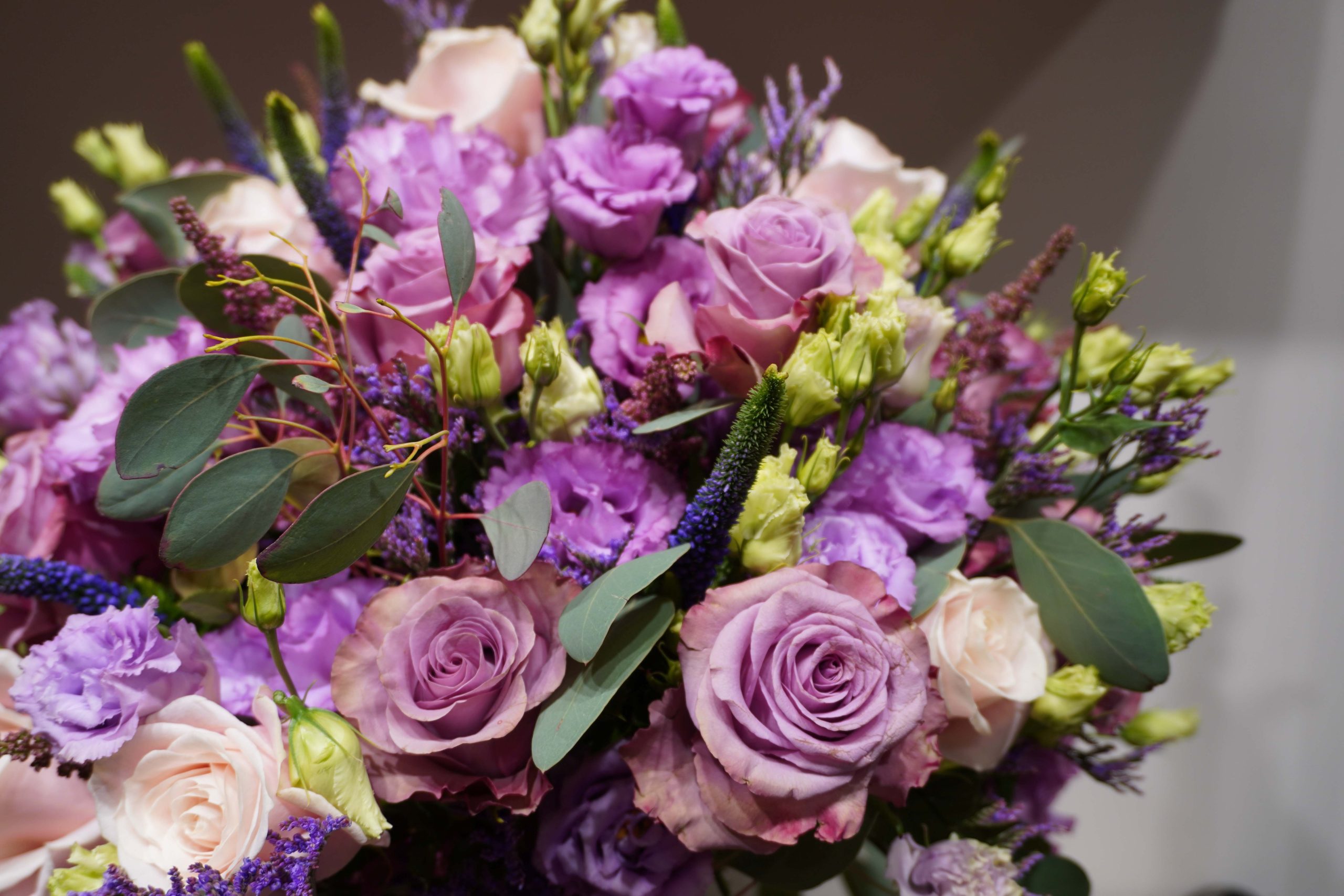 Purple Princes - Image 2