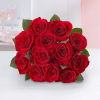 12 Long-Stem Roses Bouquet – 6 Colours – Bernard Rochet London