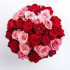 50 red and pink Ecuadorian roses arranged in a luxury hand-tied bouquet, available for same-day delivery in London.