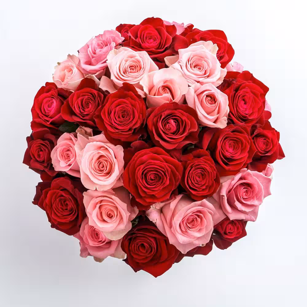 50 red and pink Ecuadorian roses arranged in a luxury hand-tied bouquet, available for same-day delivery in London.