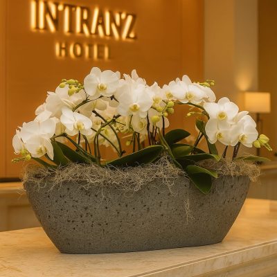White orchid arrangement in luxury hotel reception area – Bernard Rochet London