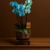 Blue phalaenopsis orchid arrangement in artisan pot by Bernard Rochet, Chelsea London