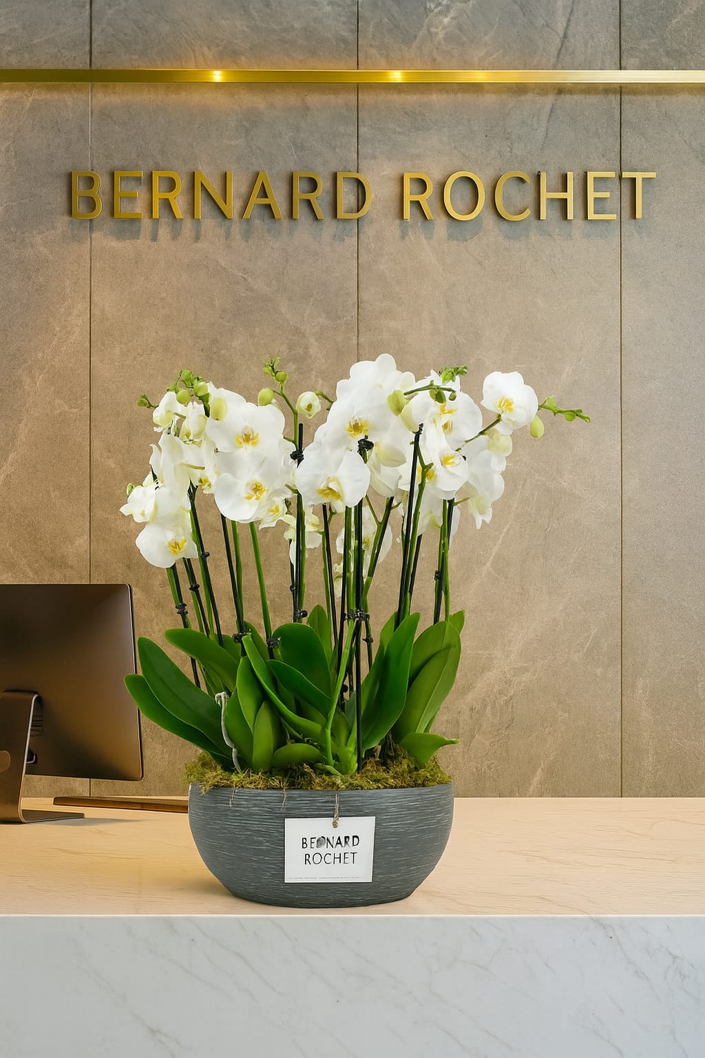 Luxury orchid arrangement in white ceramic pot – Bernard Rochet London