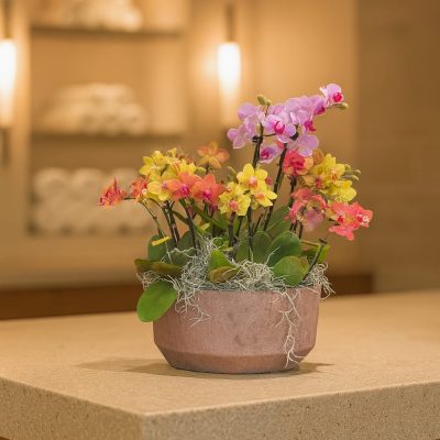 Vibrant miniature orchid bowl with 12 mixed colour stems in ceramic pot – Bernard Rochet London
