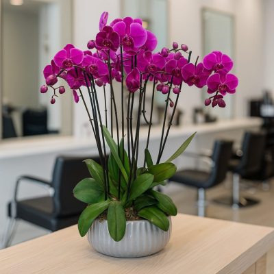 Side view of pink phalaenopsis orchid arrangement in ceramic bowl