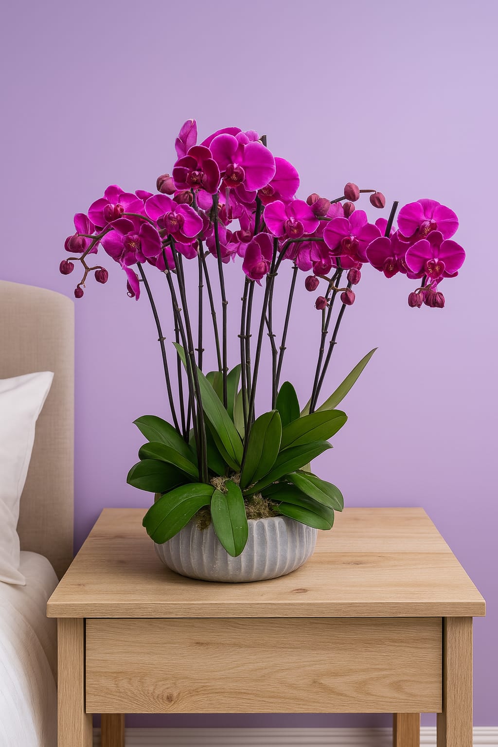 Pink orchid in a ribbed ceramic pot on a wooden table against a pastel backdrop