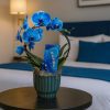 Double arch blue Phalaenopsis orchid in ceramic pot on black side table – luxury indoor plant arrangement