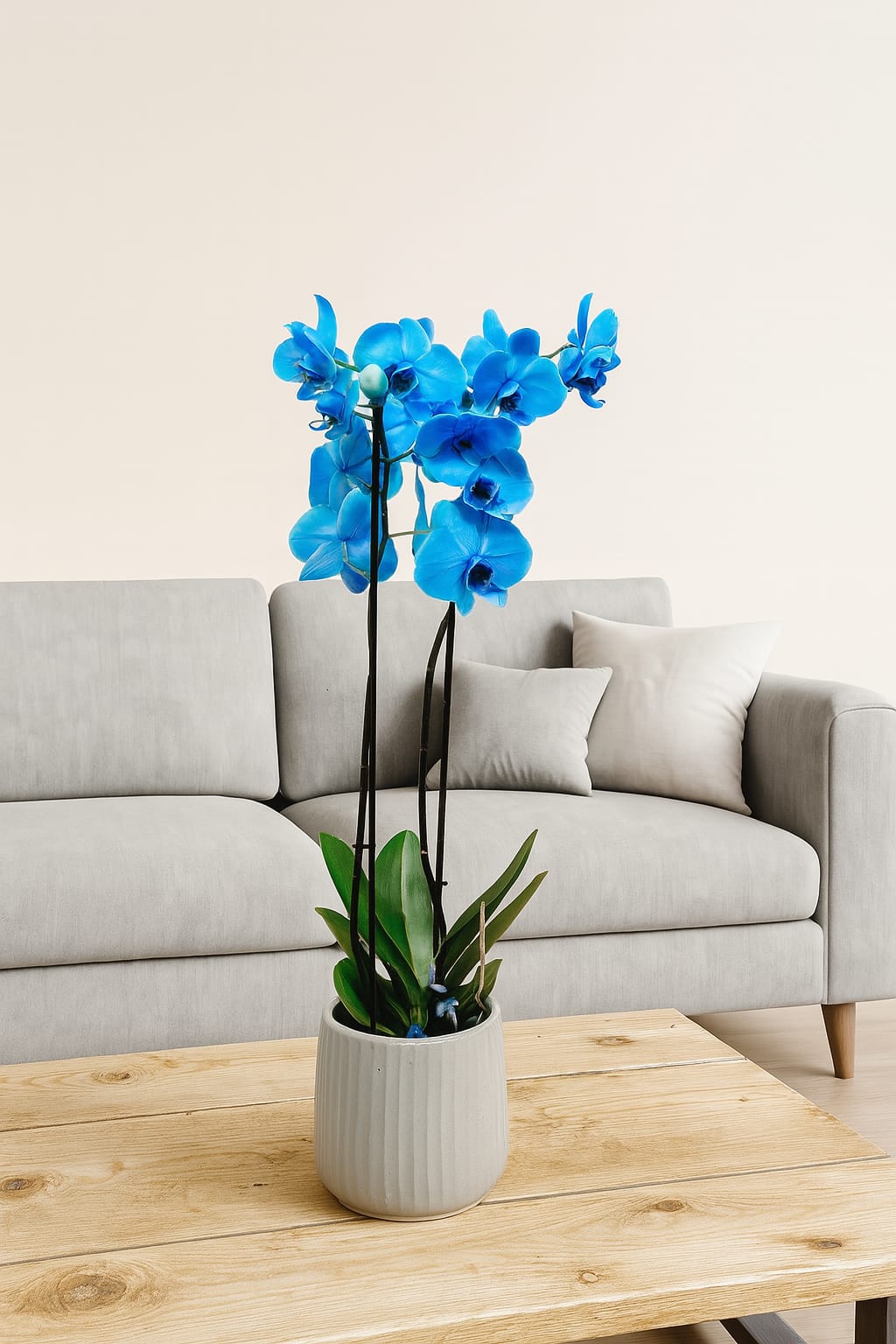 Blue Orchid Tower Plant – Bernard Rochet London
