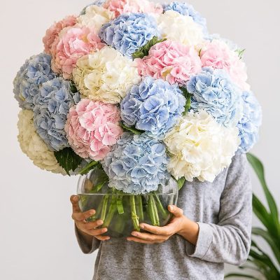 Hydrangea and Summer Collection