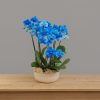 Blue orchid arrangement in ceramic pot – limited edition Mayfair collection by Bernard Rochet London