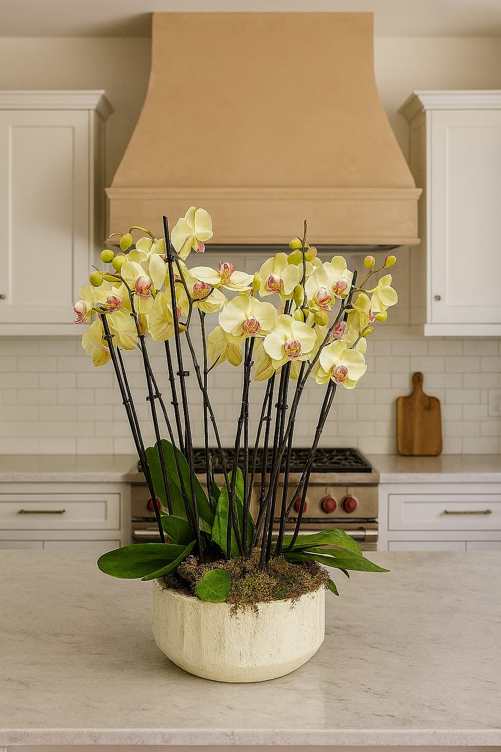 LARGE ORCHID ARRANGEMENT YELLOW