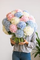 Luxury bouquet of pastel hydrangeas in glass vase – Bernard Rochet London
