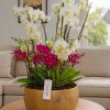 Designer orchid arrangement London in gold pot