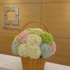 Multicolour hydrangea basket London