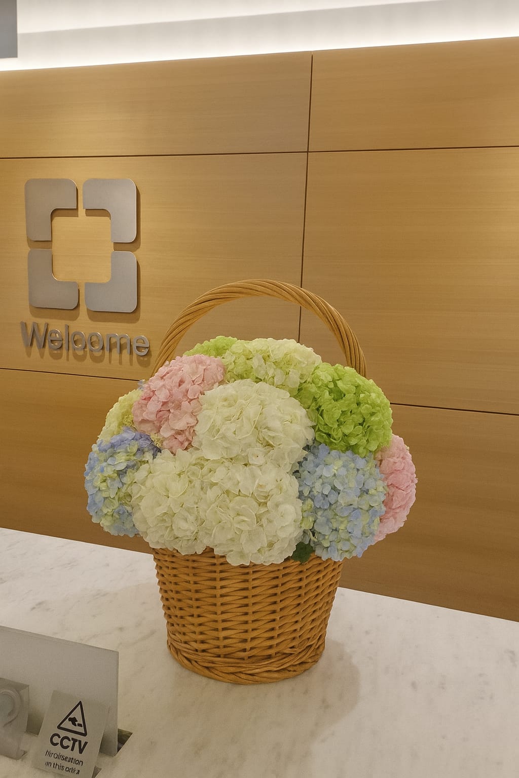 Multicolour hydrangea basket London