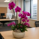 Pink Orchid Garden arrangement in London – luxury orchid garden by Bernard Rochet