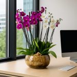 Two colour orchid arrangement London with purple and white blooms