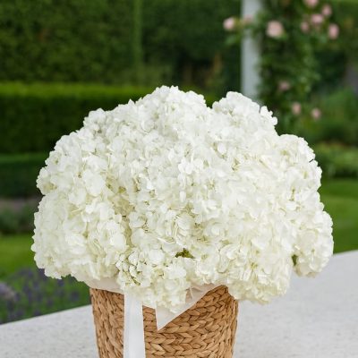 White hydrangea basket London – Bernard Rochet luxury flowers