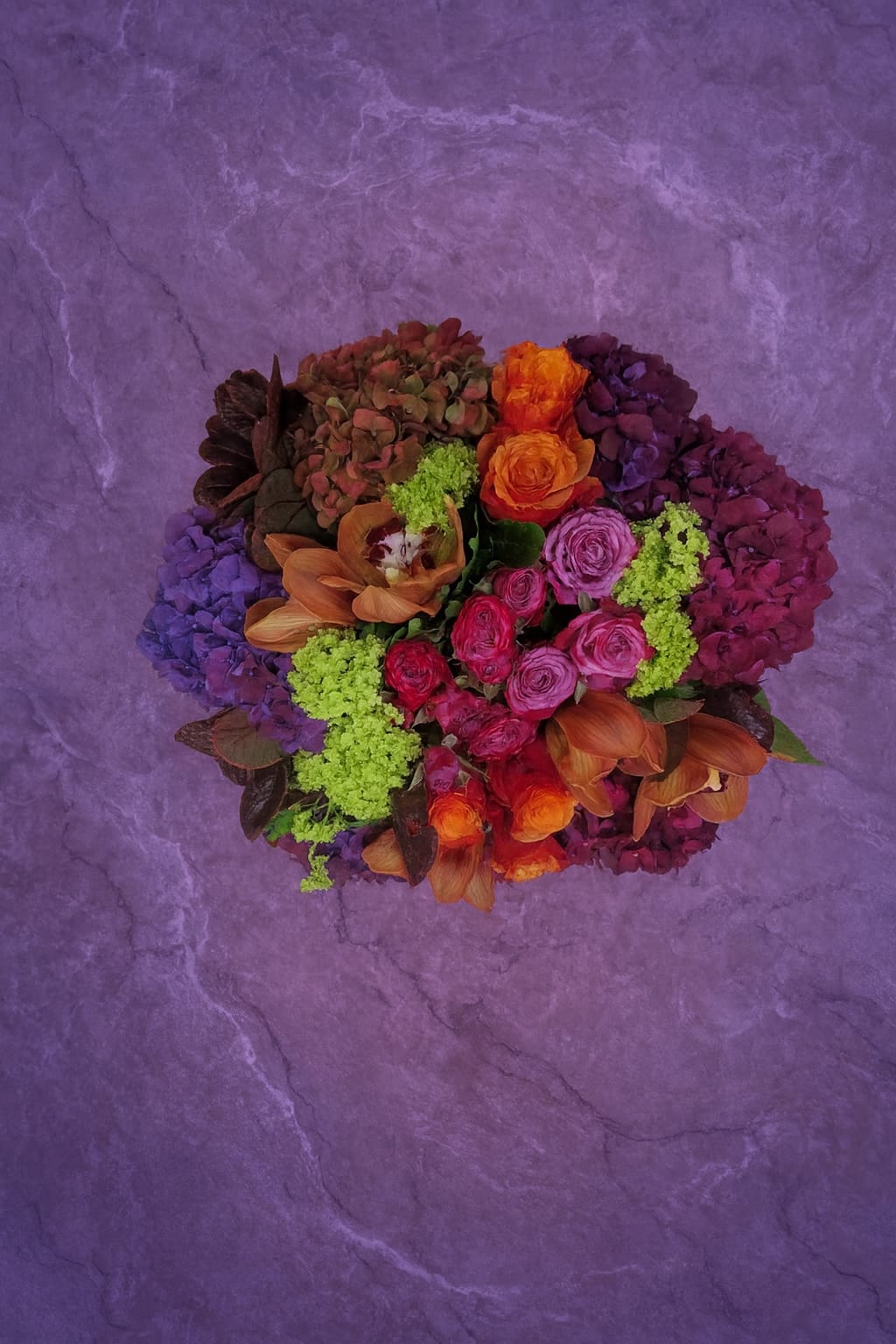 Majestic Colour Harmony - Image 2