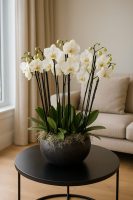 Luxury white orchid arrangement in a black planter